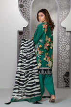 Load image into Gallery viewer, Zebra Blush A